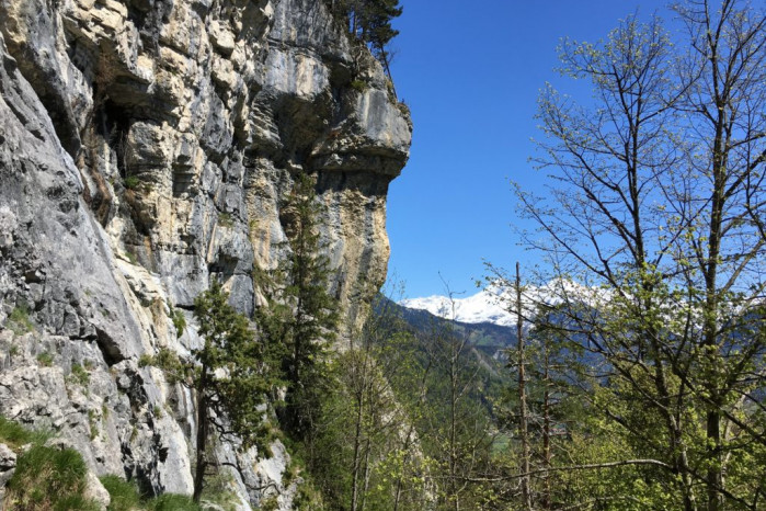 Schillingsfluh-Berner Oberland